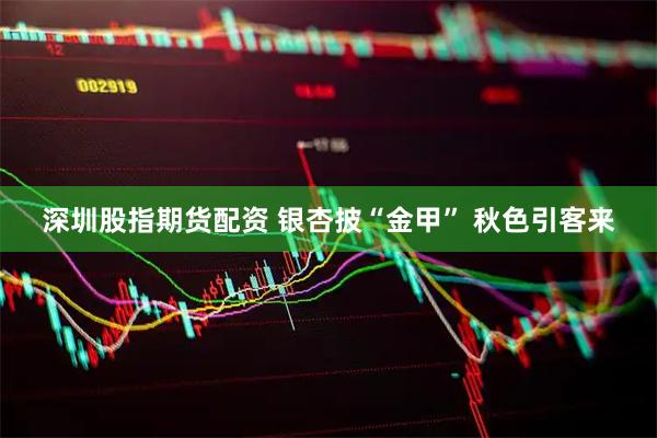 深圳股指期货配资 银杏披“金甲” 秋色引客来